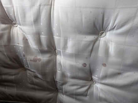 Photo of free Single mattress (Trelewis CF46) #2