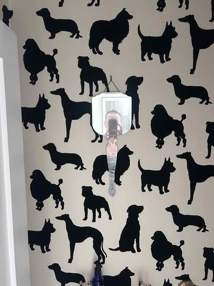 Photo of free Mirror (Kensington W8) #1