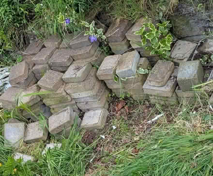 Photo of free Old paving tiles (Carryduff BT8) #1