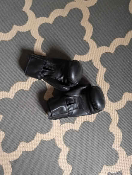 Photo of free Boxing gloves (Gwp OX11) #1