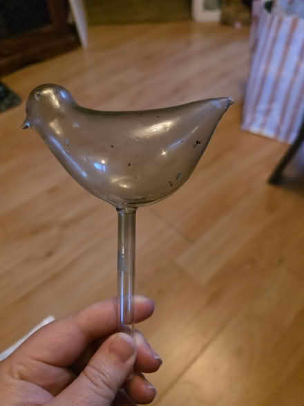 Photo of free Glass self watering pot accessory (Stonehouse) #1