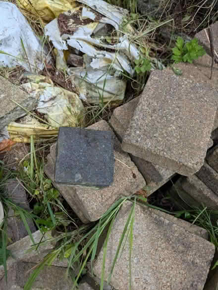 Photo of free Old paving tiles (Carryduff BT8) #3