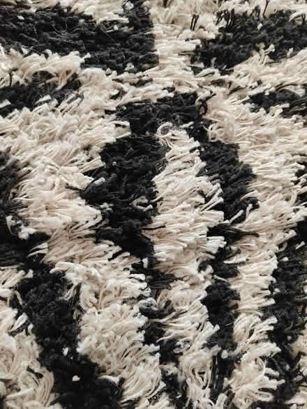 Photo of free Black and white rug (Stevenage) #3
