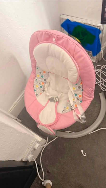 Photo of free Swing and bassinet (OX4 Cowley) #3