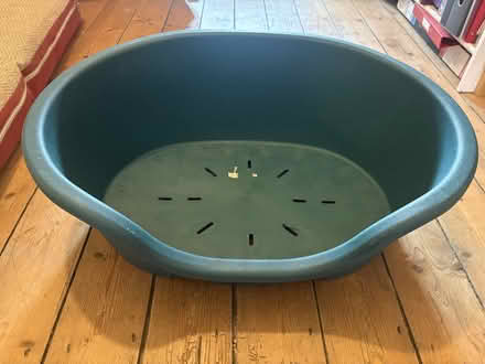 Photo of free Plastic dog beds (Bryn-y-cochin SY12) #1