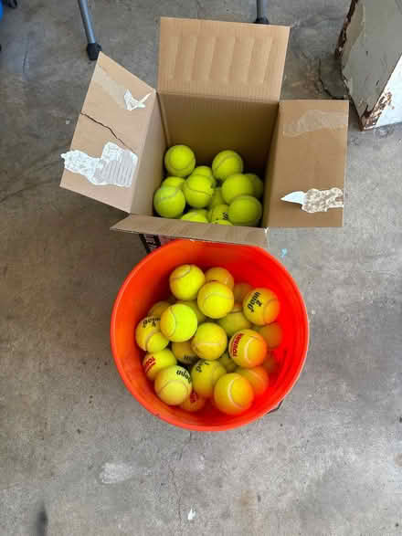 Photo of free Tennis Balls (Herndon Va) #1