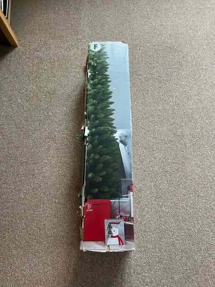 Photo of free Christmas Tree (Florence Park OX4) #1