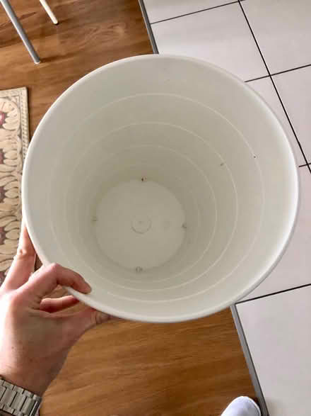 Photo of free White waste paper bin (SE13 Deptford) #2