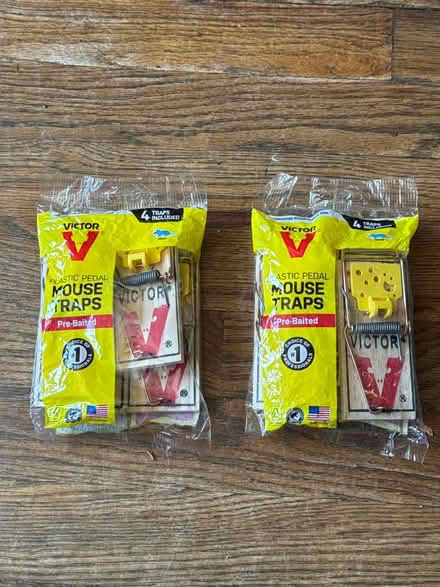 Photo of free 2 packs of 4 Victor Mouse Traps (Clason Point Bronx NY) #1