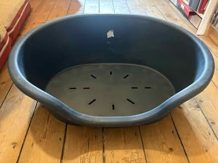 Photo of free Plastic dog beds (Bryn-y-cochin SY12) #2