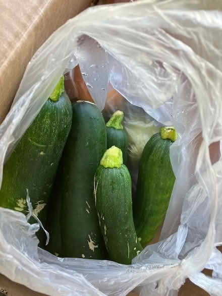 Photo of free more foodstuff (south sunnyvale) #3