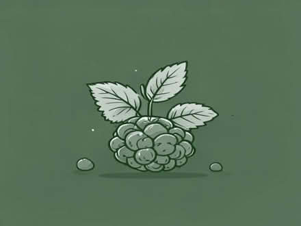Photo of free Raspberry plants (Morda SY10) #1
