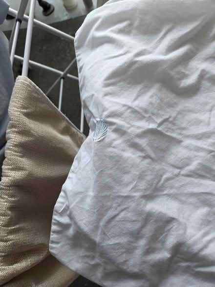 Photo of free Double duvet set (Margate CT9) #2