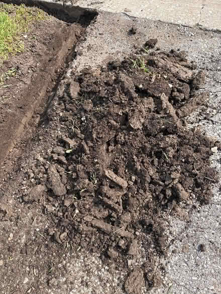 Photo of free Soil from grass (L5L 5P5) #2