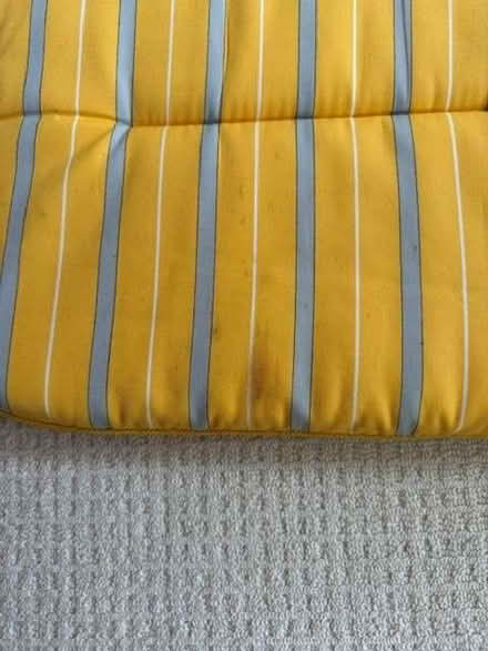 Photo of free Outdoor chair cushions (Balcombe RH17) #4