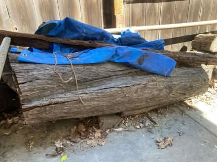 Photo of free Aged firewood (Near Highland Hospital) #3