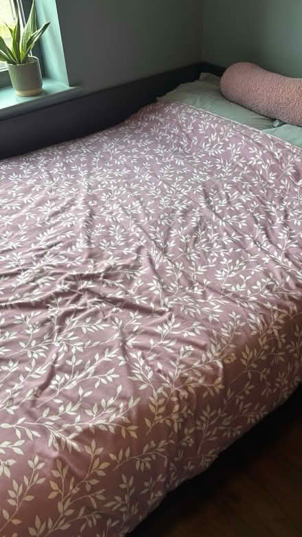 Photo of free Double bed duvet (next to city hall) #1
