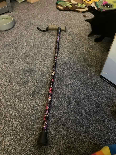 Photo of free Foldable, walking stick (Chester Road M15) #1