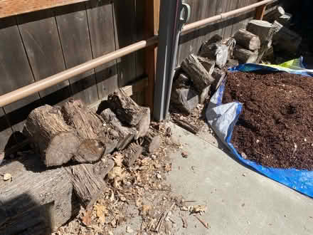 Photo of free Aged firewood (Near Highland Hospital) #1