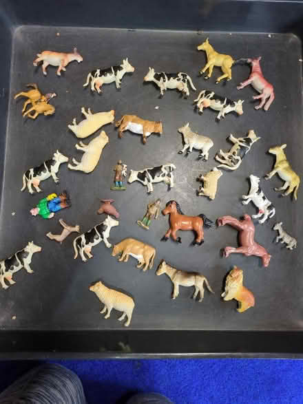 Photo of free Farm amimals (Orgreave S13) #1