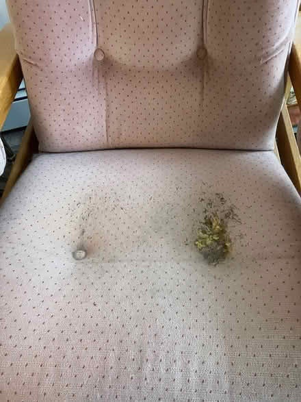 Photo of free Glider chair/damaged cushion (Gorham, ME center) #2