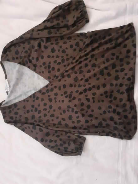 Photo of free Size 10 brown top (Birmingham City Centre B4) #1