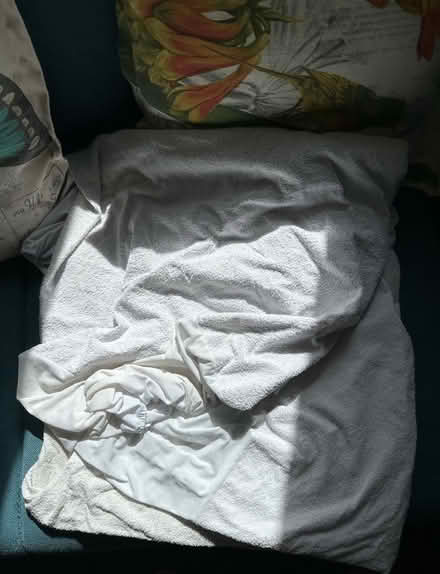 Photo of free King mattress protector (Felden HP3) #1