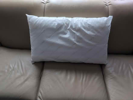 Photo of free Firm oversize pillow (Glebe) #1
