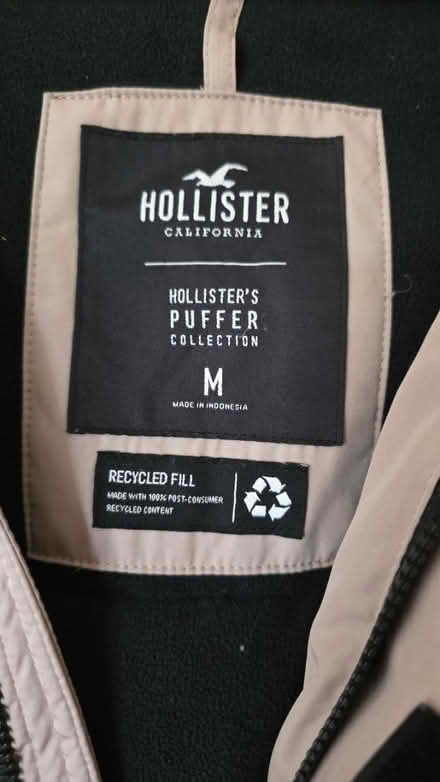 Photo of free hollister puffer (Sw15) #3