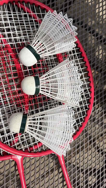 Photo of free Badminton set (Langley SL3) #2