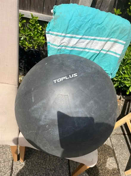 Photo of free Exercise ball (Langley SL3) #3