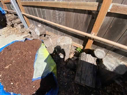 Photo of free Aged firewood (Near Highland Hospital) #2
