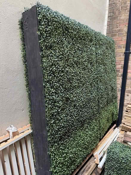 Photo of free Green artificial bush (SE1 2DF) #4