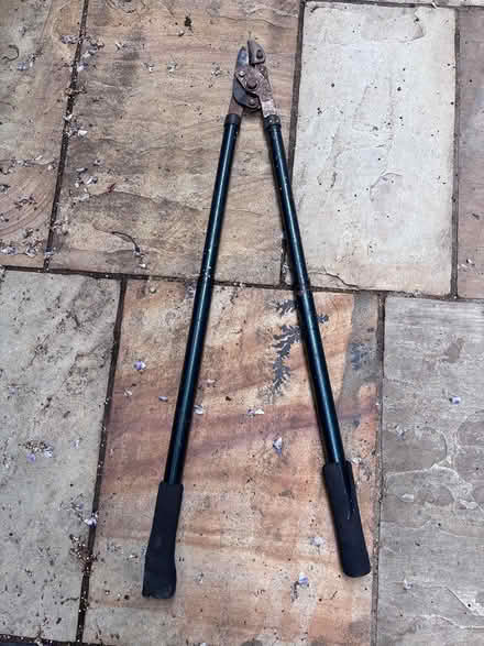 Photo of free Garden cutters / loppers (Sheen SW14) #1