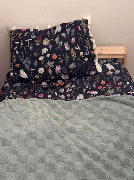Photo of free Wooden twin bed frame (Downtown Berkeley) #1