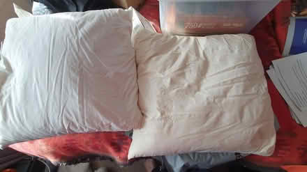 Photo of free Feather cushion pads (Chichester Lavant PO18) #1