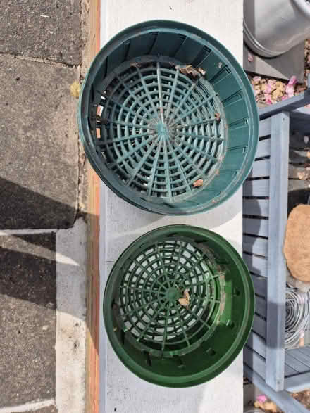 Photo of free Tulip planters (Barnes) #1