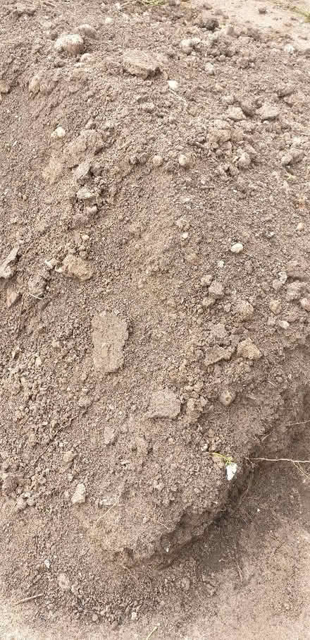 Photo of free Soil (Springfield B11) #4