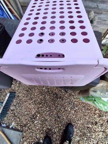 Photo of free 'Curver' half size laundry basket. Pinky/Lilac, slight (Otford TN14) #3