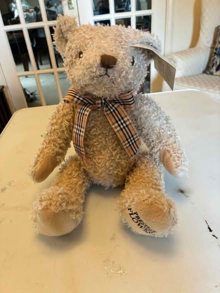Photo of free Teddy bear (CM2 6. Chelmer Village) #2