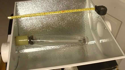 Photo of free Sun-light / Grow-light (Foster & California Ave) #4