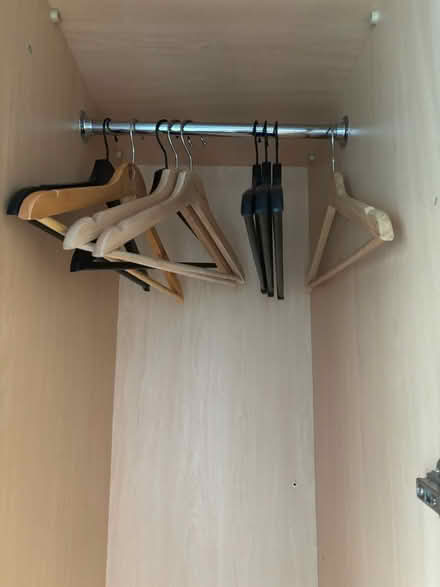 Photo of free wood hangers (next to city hall) #1