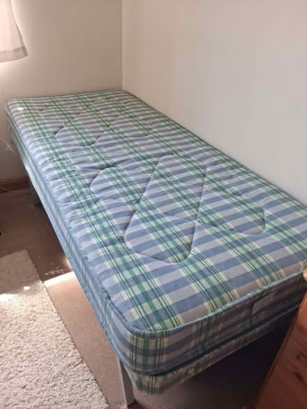 Photo of free 2 single beds with mattresses (Rhayader LD6) #2