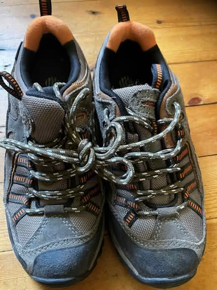 Photo of free ALPINA trekking shoes size 38 (Newington, EH16) #1