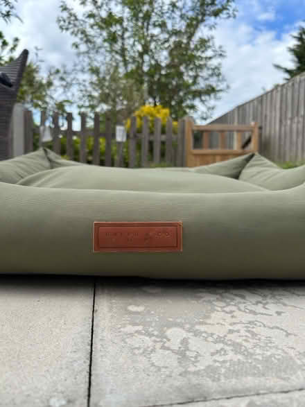 Photo of free Dog bed (Southend on sea SS1) #2
