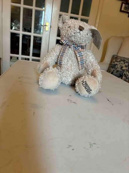 Photo of free Teddy bear (CM2 6. Chelmer Village) #1