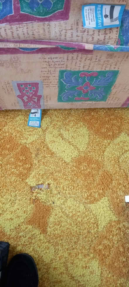 Photo of free Trundle bed (Battle) #4