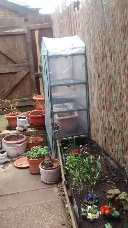 Photo of free Mini greenhouse - 4 tier (Howlands, AL7) #2