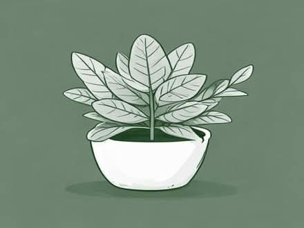 Photo of your plants (Blacon CH1) #1