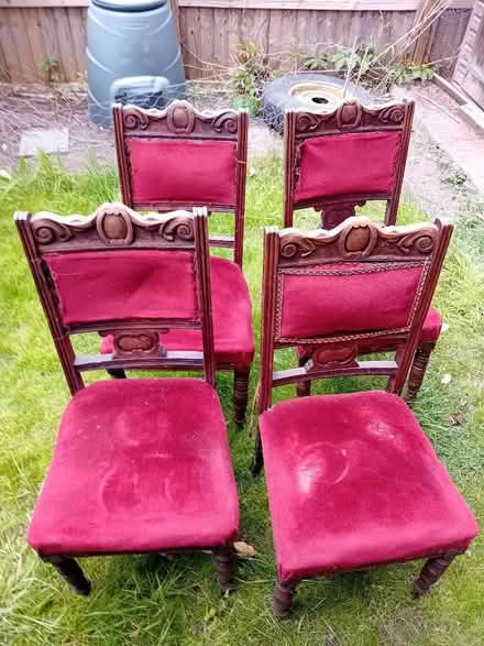 Photo of free 4 Dining Chairs (Norbiton KT2) #1